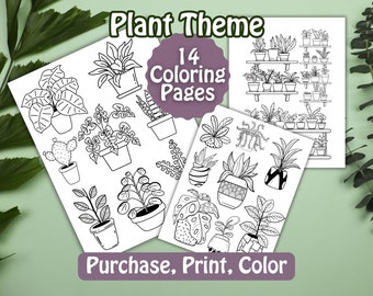 Plant Coloring Pages, Plant PNG, House Plant Coloring Pages, Plant Coloring Sheet, Coloring Pages for Kids, Digital Coloring Pages