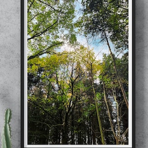 Vibrant forest portrait print – summer-autumn woodland wall art, tree photography download, green & yellow nature poster, digital printable