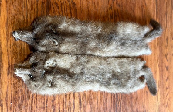 2 Grey VINTAGE MINKS