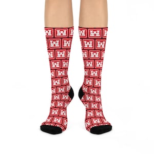 May include: Knee-high socks with a repeating pattern of white castle emblems in red rectangular frames on a black background. The socks have black heels and toes.