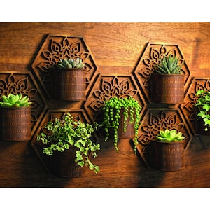 Puede incluir: Jardineras hexagonales de madera montadas en la pared con varias plantas verdes y suculentas. Las jardineras son de color marrón oscuro y están montadas en una pared de madera. El diseño presenta intrincados patrones florales.