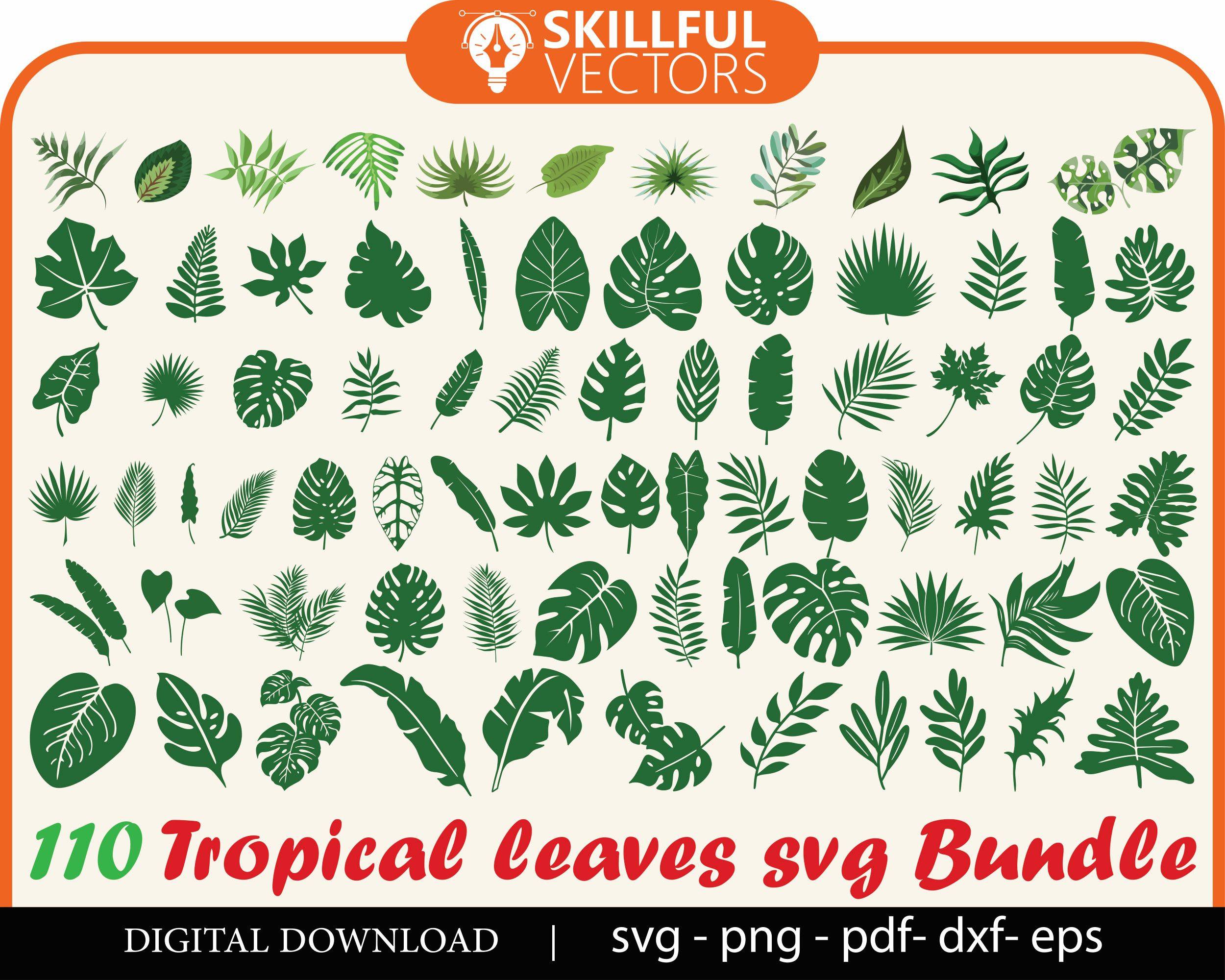 Leaves. Leaves Svg. Svg. Green leaves. Vector elements. Tea leaf  silhouette. Mint leaf. Design Icons. Green plant leaves. Nature. Twig. Png.