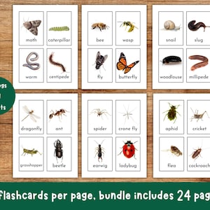 Animal Flash Cards, Pet Farm Animal Flashcards, Zoo Jungle Animals, Sea Creatures, Bugs Insects, Educational Printable, Toddler Flashcards image 4