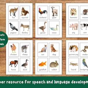 Animal Flash Cards, Pet Farm Animal Flashcards, Zoo Jungle Animals, Sea Creatures, Bugs Insects, Educational Printable, Toddler Flashcards image 2