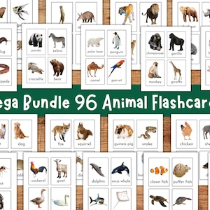 Cartes flash animaux, Cartes flash animaux de la ferme, Animaux de la jungle du zoo, Créatures marines, Bugs, Insectes, Impression éducative à imprimer, Cartes flash pour tout-petits