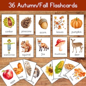 May include: A collection of 36 Autumn/Fall flashcards featuring watercolor illustrations of fall-themed objects. Cards include a pumpkin, acorn, squirrel, and a deer. The text "36 Autumn/Fall Flashcards" is at the top.