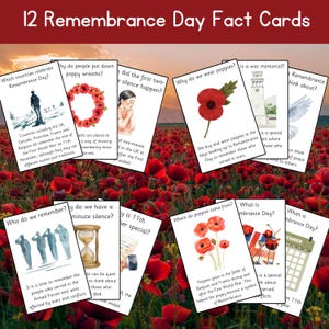 May include: A set of 12 white rectangular Remembrance Day fact cards featuring educational text and illustrations including poppies, a wreath, a dove, a war memorial, and soldiers. The cards are arranged against a background of red poppy flowers.