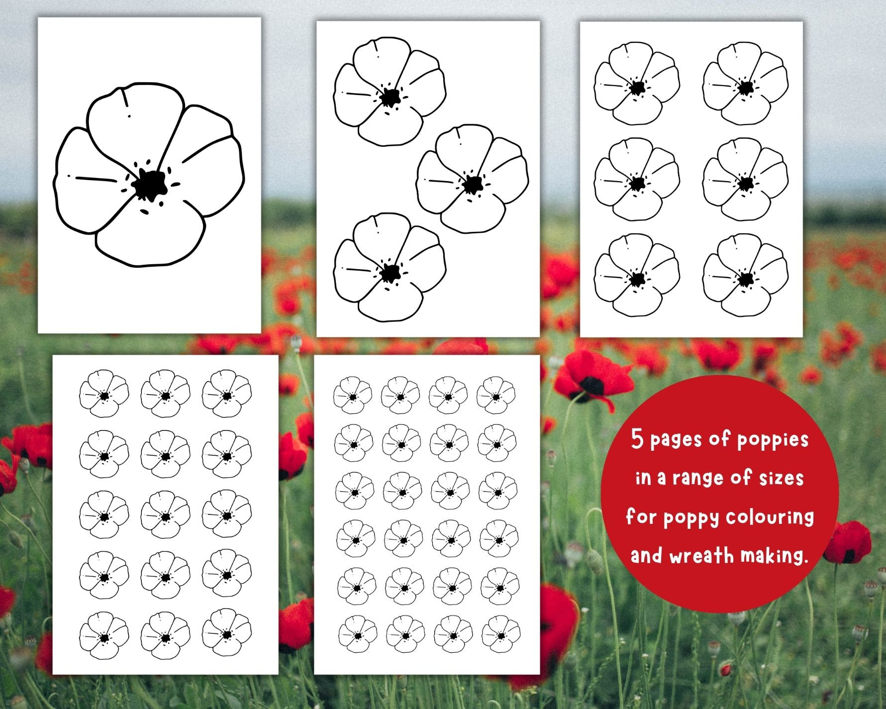 Remembrance Day Craft and Colouring Activity Pages, Kids Printable ...