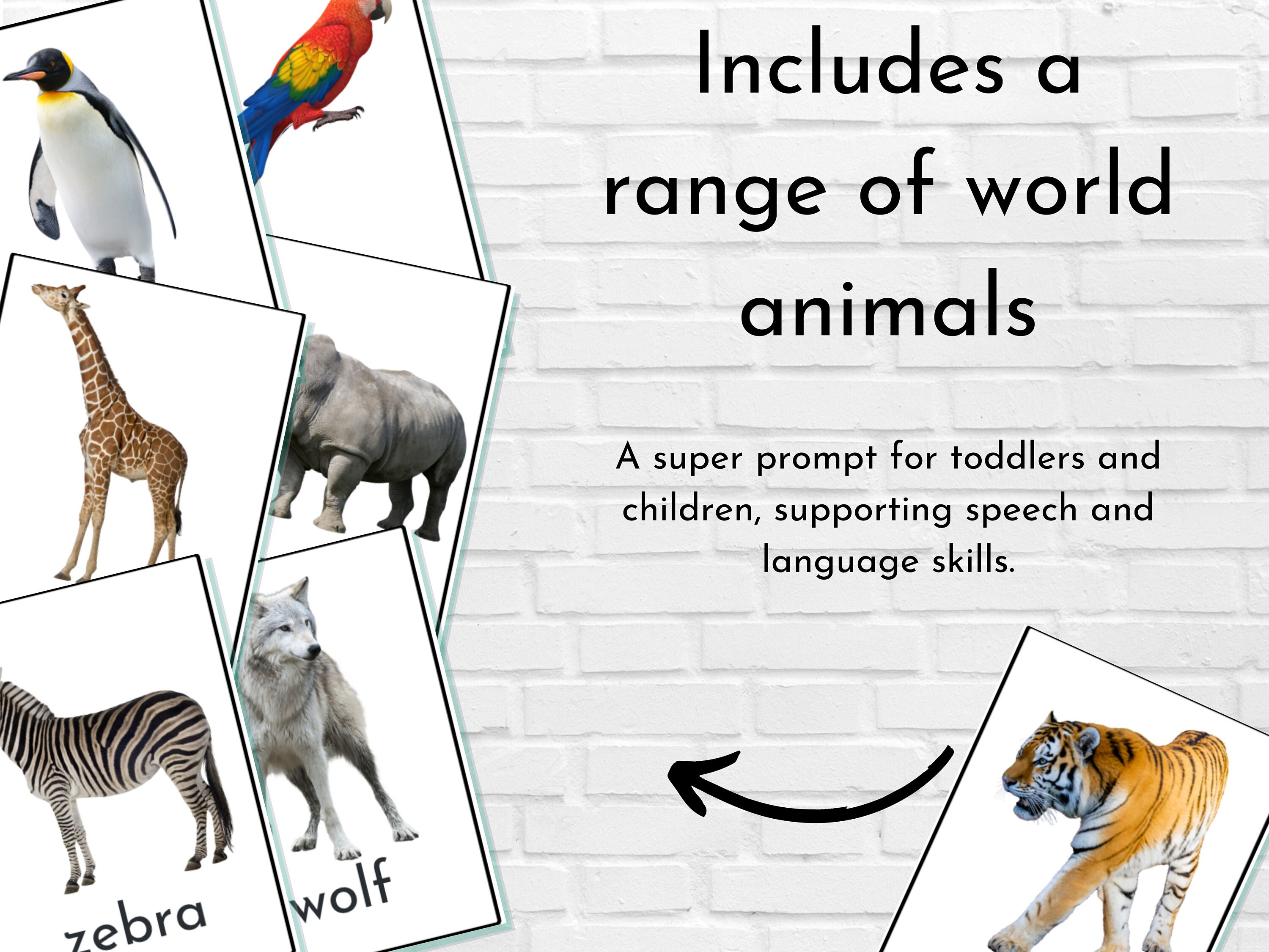 Jungle Animal Flash Cards, Wild Animals, World Animals Educational