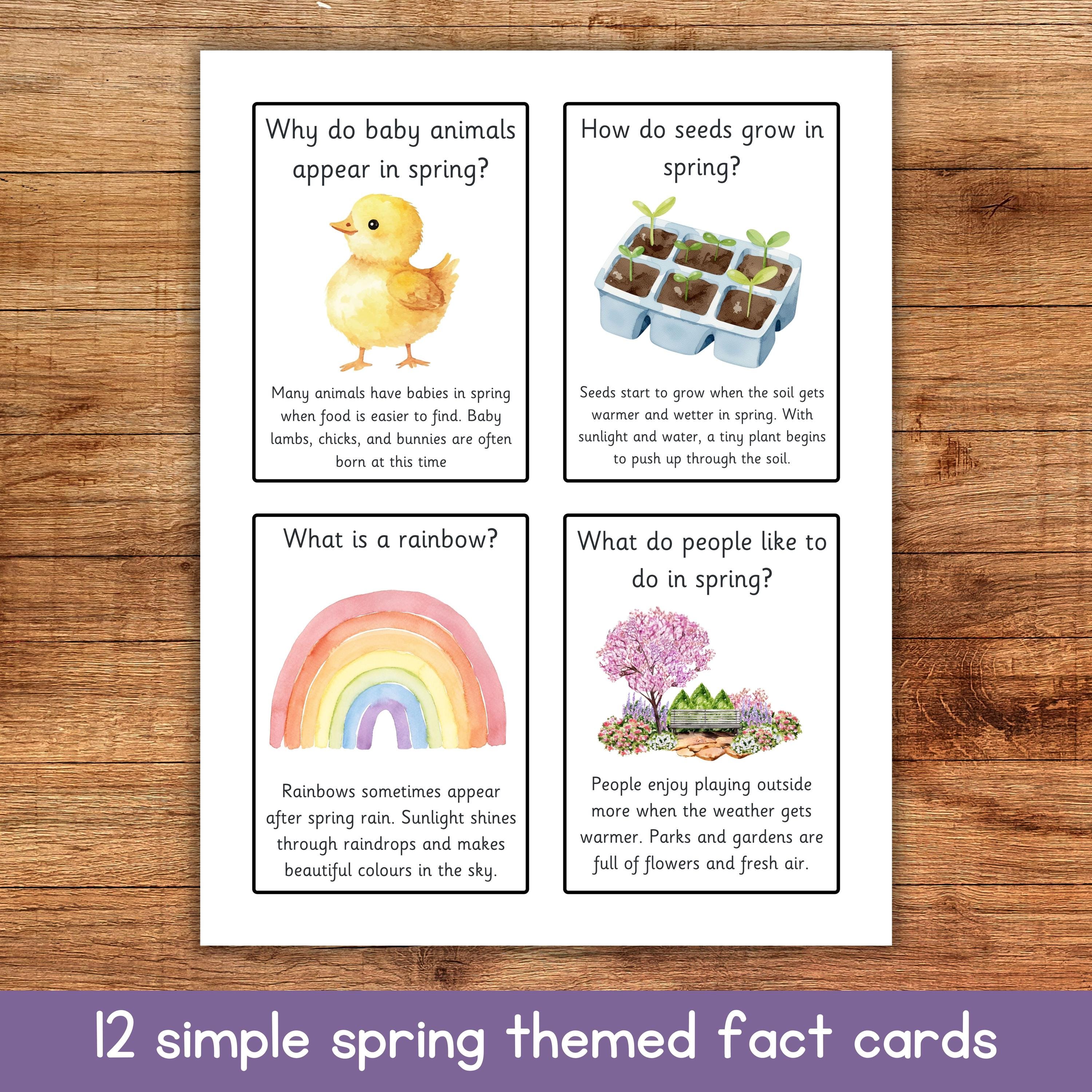 Spring Fact Cards for Kids | Preschool Spring Printable | Spring ...