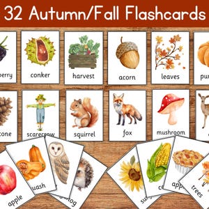 Könnte beinhalten: Ein Set von 32 Herbst/Herbst-Lernkarten mit Aquarellillustrationen. Die Karten zeigen saisonale Elemente wie Brombeere, Kürbis, Eichel und Eichhörnchen. Der Text "32 Autumn/Fall Flashcards" befindet sich oben.