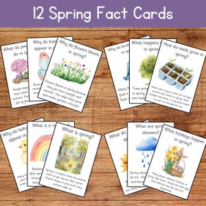 Cartes d'information sur le printemps pour les enfants | Printemps préscolaire imprimable | Cartes d'apprentissage du printemps | Faits naturels pour les enfants | Ressource saisonnière en classe