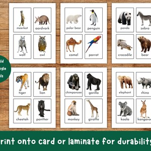 Animal Flash Cards, Pet Farm Animal Flashcards, Zoo Jungle Animals, Sea Creatures, Bugs Insects, Educational Printable, Toddler Flashcards image 3