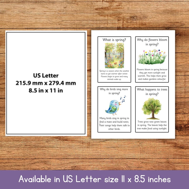 Spring Fact File Template Spring Fact Cards for Kids | Preschool Spring Printable | Spring ...