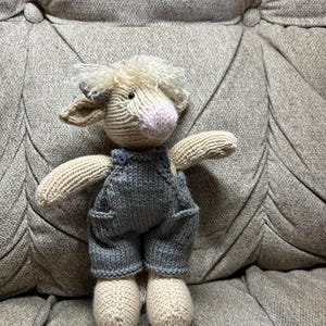 Mr. Highland cow