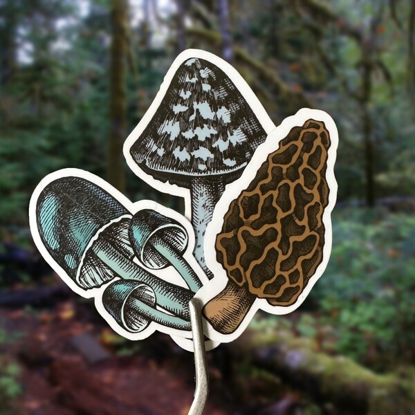 Mushroom Sticker Pack - Handmade Vinyl Mushroom Sticker Set - Psychedelic Mushrooms