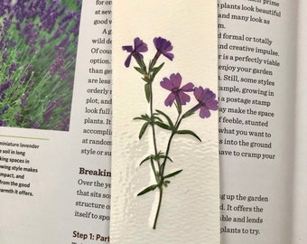 Free Shipping  One of a kind  Bookmark 1  hand made bookmark with real pressed Creeping Phlox flowers