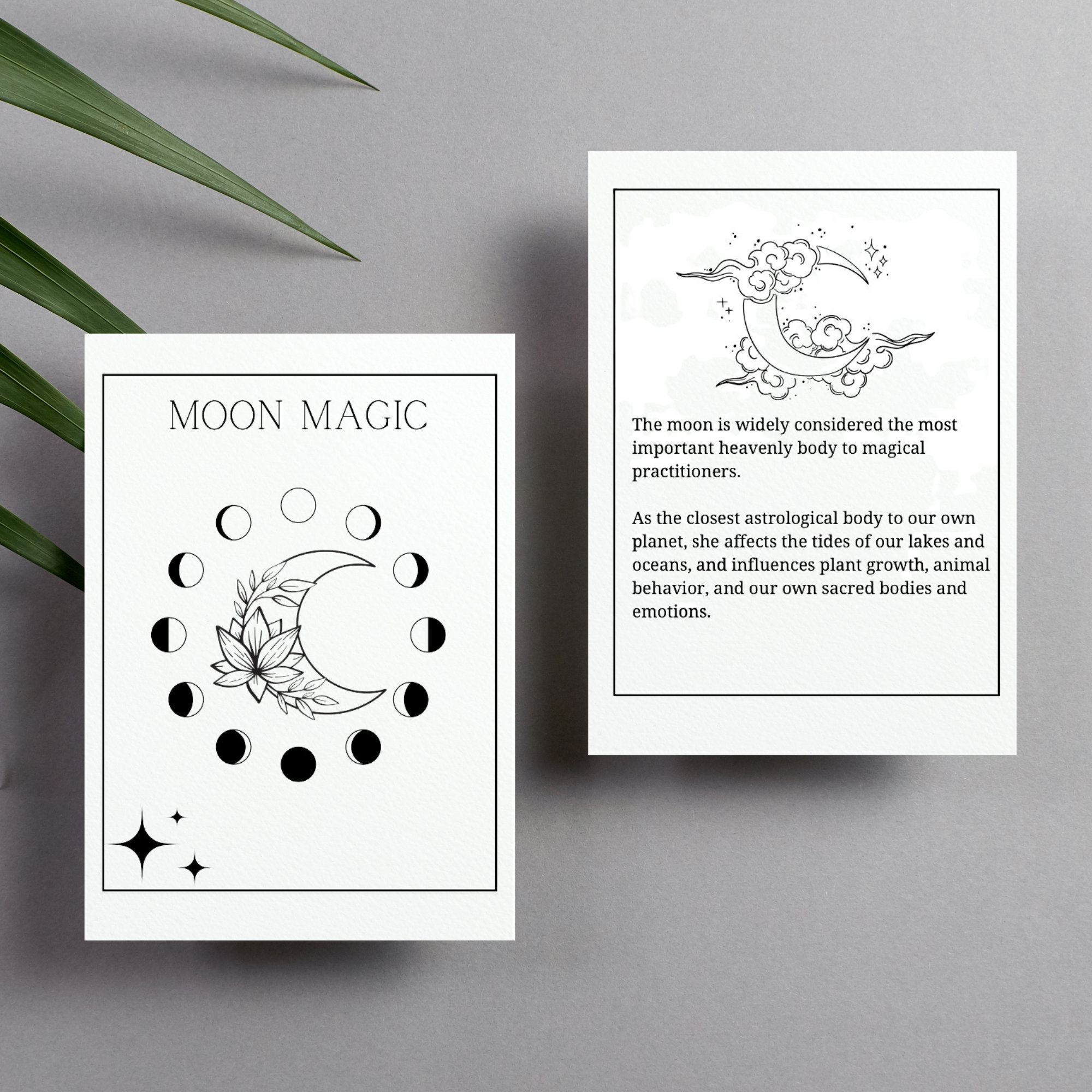 Moon Magic Coloring Book Guide - Etsy