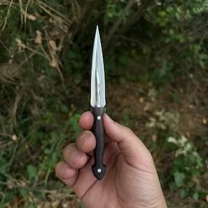 Könnte beinhalten: Ein kleines, scharfes Messer mit einer silbernen Klinge und einem dunklen Holzgriff. Der Griff hat eine abgerundete Form mit einem weißen Punkt in der Nähe der Klinge und einem weiteren an der Basis. Das Messer wird vor einem verschwommenen grünen Hintergrund gehalten.