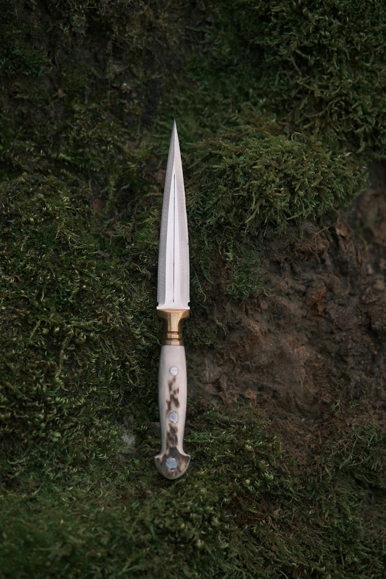 May include: A silver dagger with a white antler handle and gold accents. The dagger is resting on a bed of green moss.