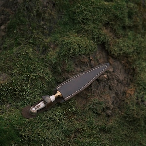 May include: A brown leather knife sheath with a white handle and gold accents. The sheath is lying on a bed of green moss.
