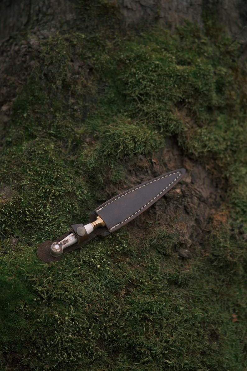 May include: A brown leather knife sheath with a white handle and gold accents. The sheath is lying on a bed of green moss.