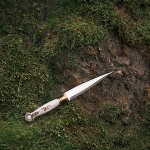 May include: A white-handled dagger with a gold-coloured hilt and a silver blade lies on a bed of green moss.