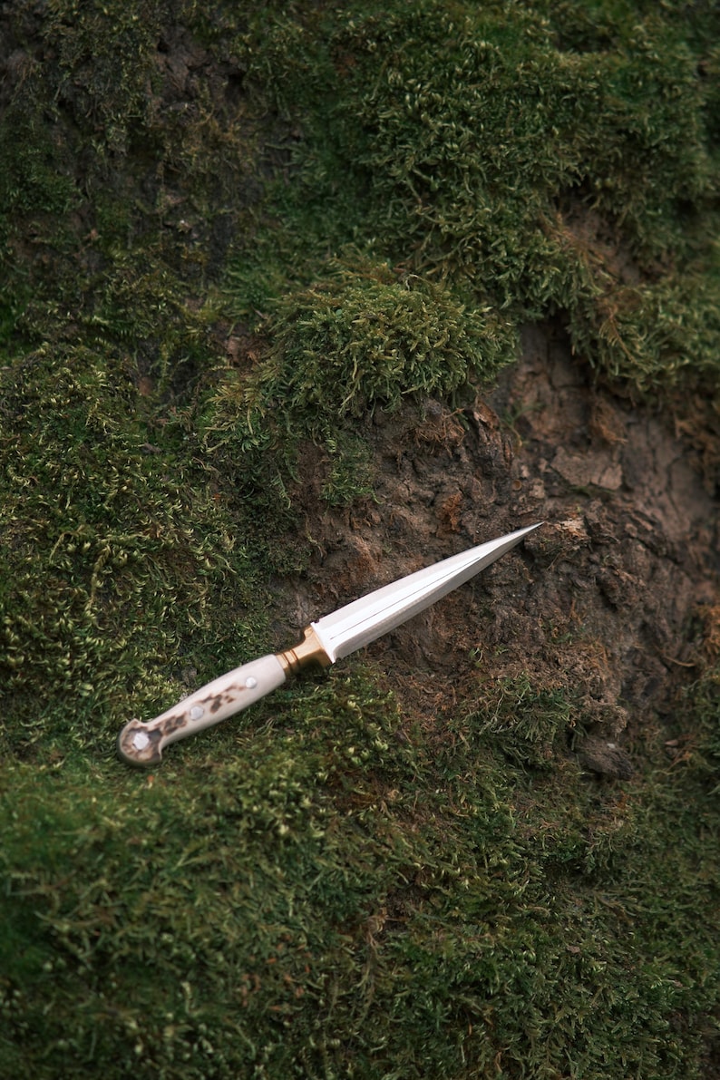 May include: A white-handled dagger with a gold-coloured hilt and a silver blade lies on a bed of green moss.