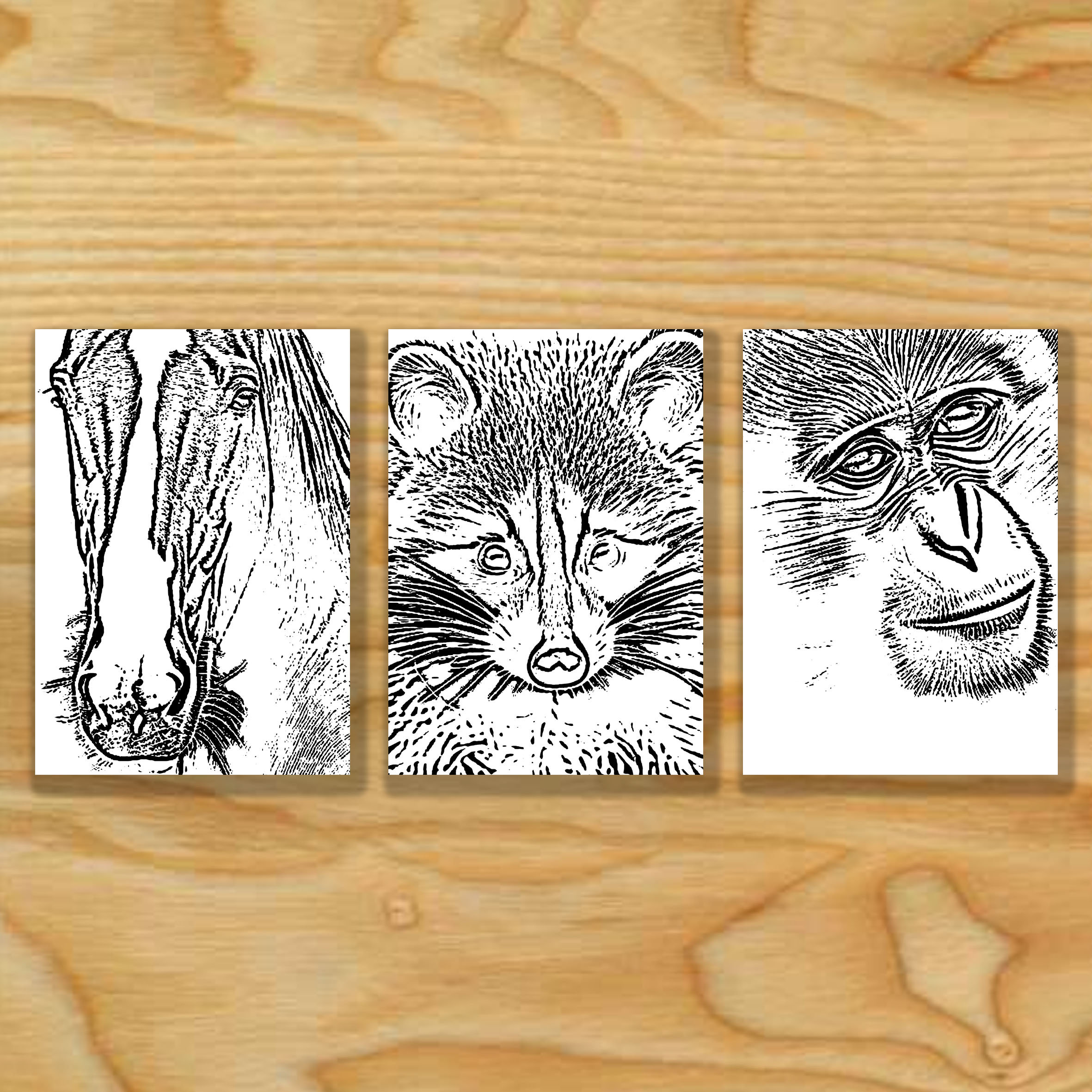 30 Animals Colouring Pages for Adults and Kids Instant - Etsy