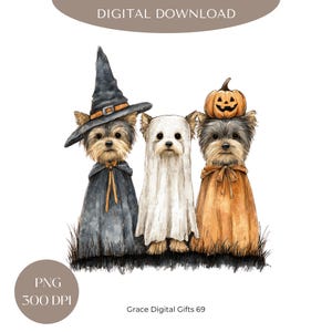 Perro Yorkshire Fantasma de Halloween PNG: Diseño de Calabaza Retro (Descarga Digital)