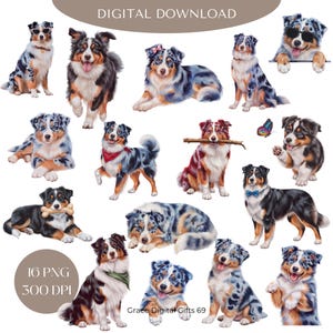 Australischer Schäferhund PNG Clipart, Aquarell Aussie Dog Bundle Png, Hunde Clipart, Hundeliebhaber, Australian Shepherd Clipart, Hund Aquarell