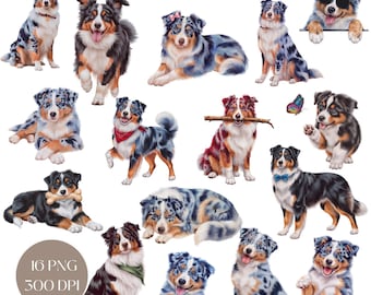 May include: A digital download of 16 PNG images featuring Australian Shepherd dogs in various poses. The dogs are depicted in blue merle, red merle, and black tri color patterns. The images are 300 DPI and are perfect for crafting projects, scrapbooking, and digital design.
