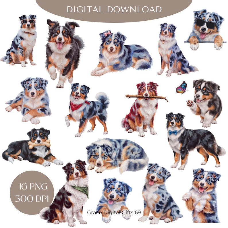 Australian Shepherd Dog PNG Clipart, Watercolor Aussie Dog Bundle Png ...