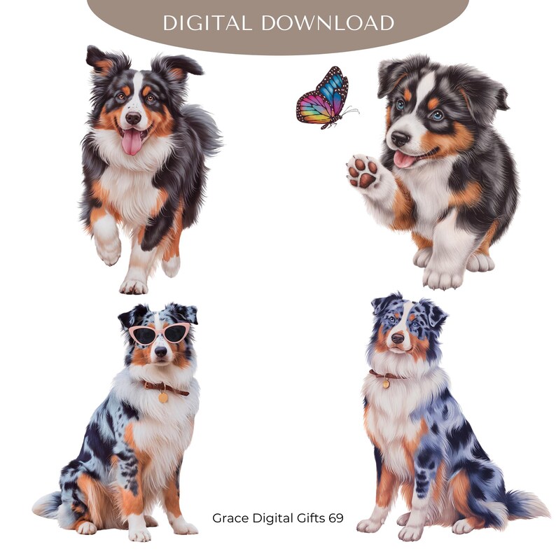 Australian Shepherd Dog PNG Clipart, Watercolor Aussie Dog Bundle Png ...