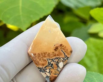 Maligano Jasper Cabochon; Landscape Picture; Handmade Gemstone Indonesia