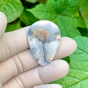 May include: A teardrop-shaped polished gemstone featuring a smooth surface with a light grey and white base. The stone displays a distinct internal pattern with a central tan-coloured inclusion and a dark, thin, winding line resembling a river.