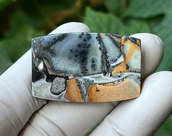 May include: A rectangular polished gemstone cabochon featuring a complex pattern of grey, black, and tan colors. The stone displays dendritic inclusions resembling fern-like patterns, interspersed with solid patches of earthy brown and grey.