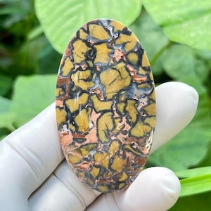 May include: An oval-shaped gemstone with a unique pattern. The stone features a mosaic of colors, including yellow, black, brown, and hints of blue. The polished surface of the stone is held by a gloved hand, showcasing its natural beauty.
