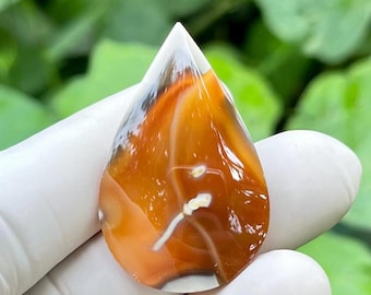 May include: A teardrop-shaped gemstone with a polished surface. The stone features a blend of orange, white, and brown hues, with a translucent, pointed top. The gemstone is held by a gloved hand against a backdrop of green foliage.
