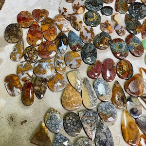 May include: A collection of polished, multi-coloured cabochons in various shapes including teardrops, ovals, and circles. The stones feature diverse patterns, textures, and earthy tones such as brown, orange, grey, and cream, with some displaying fossilised or agate-like inclusions.