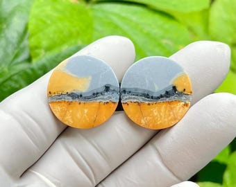 Par Cabochon Maligano Jaspissten; Landskapsmålning