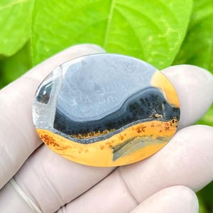 Maligano Jaspis Cabochon, Landschaftsbild Stein, Size.35x27x5.2 mm