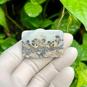 Puede incluir: Una piedra rectangular con un patrón de colores único. La parte superior es azul claro y blanca, pasando a una sección media moteada marrón y negra, y una base gris y beige. La piedra es sostenida por una mano enguantada.