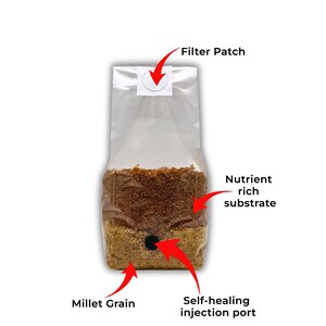 May include: A transparent plastic bag filled with millet grain and a nutrient-rich substrate. The bag features a filter patch and a self-healing injection port. Ideal for mushroom growing.