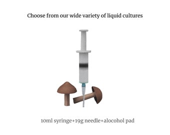 Liquid culture syringe