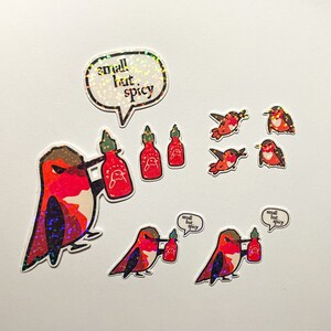Cadeau pack d'autocollants Colibri roux pour les amateurs de Birbs ! Ornithologues ornithologues amateurs, décorez des agendas, des journaux, des cahiers et des organiseurs !