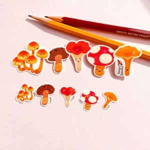 Sticker champignon groupe de cinq avec 5 mini stickers holographiques | Champignons brillants liés à la mycologie Cadeaux pour les biologistes Écologie Sciences de la nature