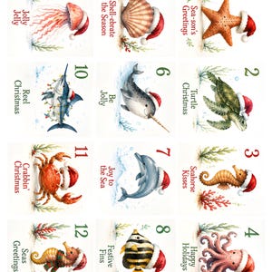 Peut inclure: Une collection de douze illustrations carrées représentant des animaux marins portant des bonnets de Père Noël rouges et blancs, incluant une étoile de mer, une tortue, un hippocampe, une pieuvre, un coquillage, un narval, un dauphin et du texte.