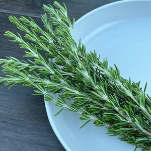 May include: A bunch of fresh green rosemary sprigs on a white plate.