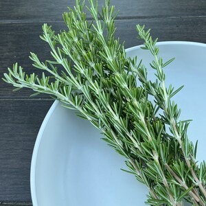 May include: A bunch of fresh green rosemary sprigs in a white bowl.